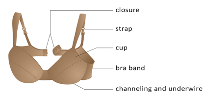 Bra Anatomy: Parts of A Bra Explained