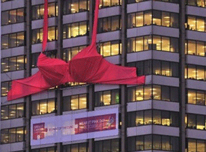 The World's Largest Bra